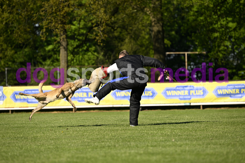 Preview _JRI_06805.jpg